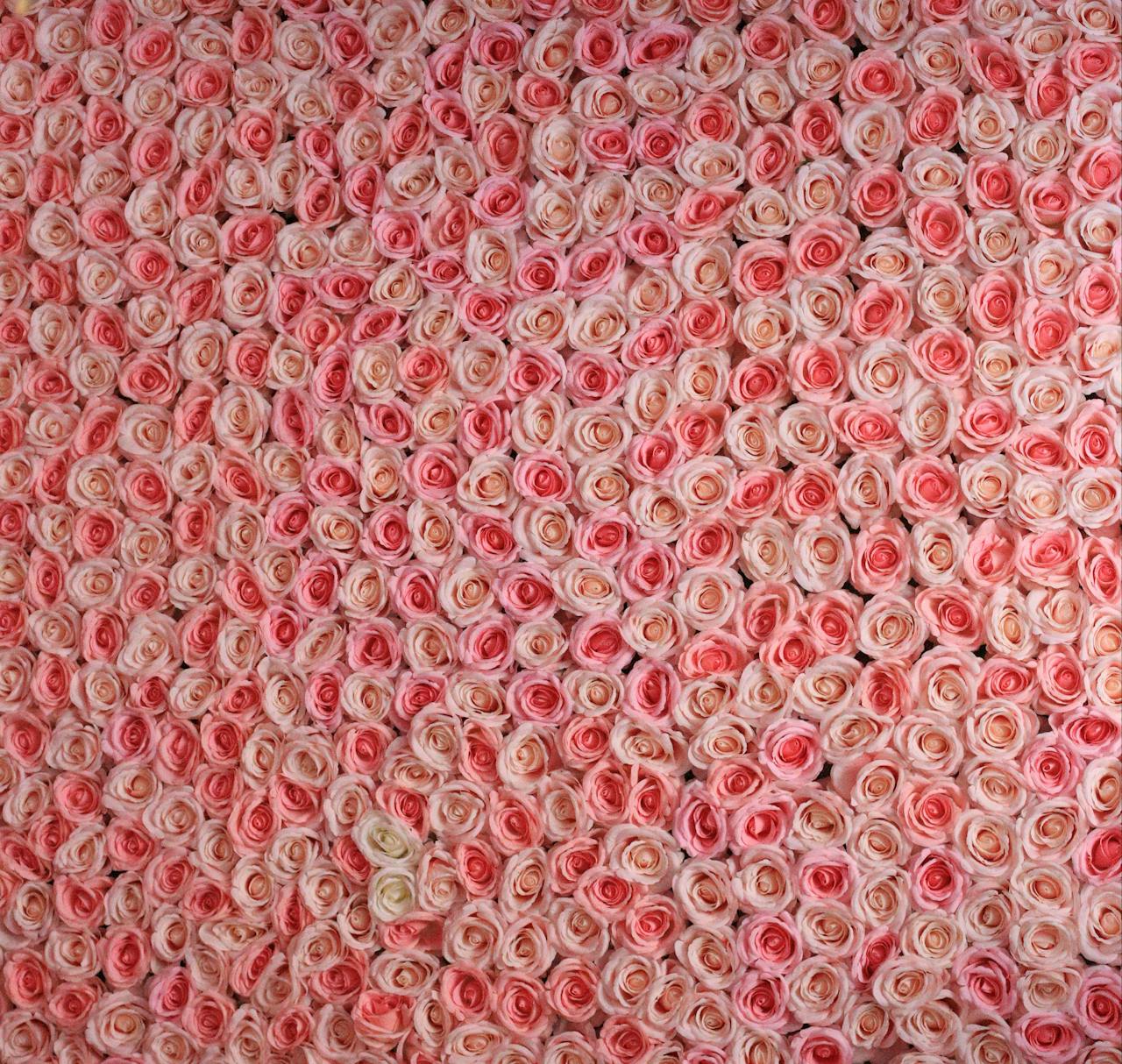 digital-01 A lush pattern of pink and white roses creating a beautiful floral backdrop.